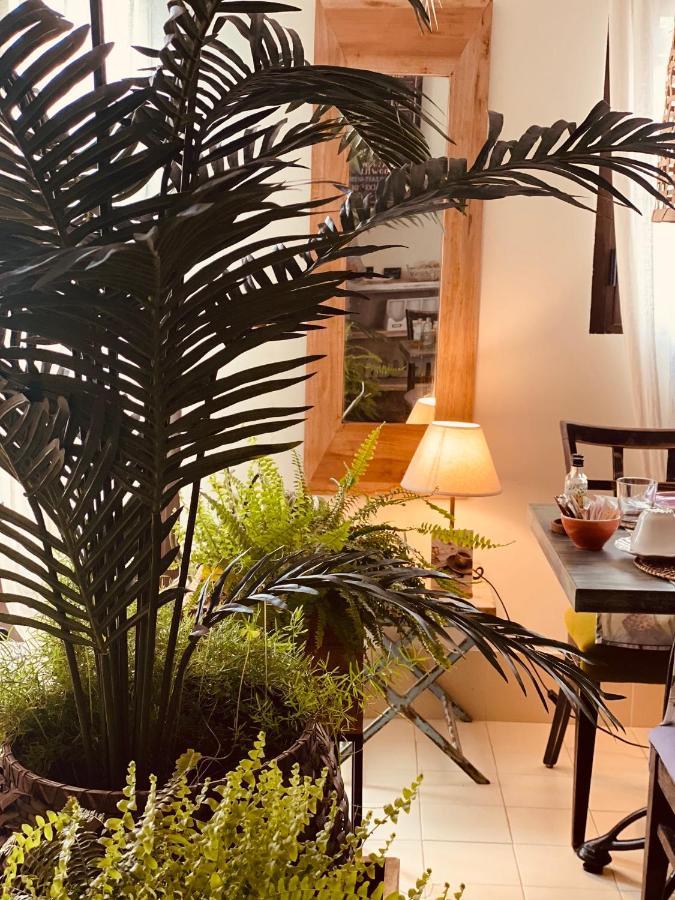 فندق Casa Ruy Lopez زافرا المظهر الخارجي الصورة
